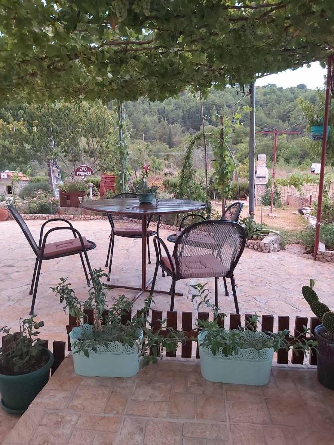 Apartman Rosa Apartamento Skradin Exterior foto