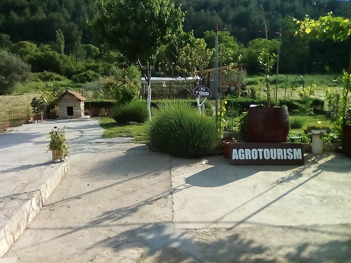 Apartman Rosa Apartamento Skradin Exterior foto
