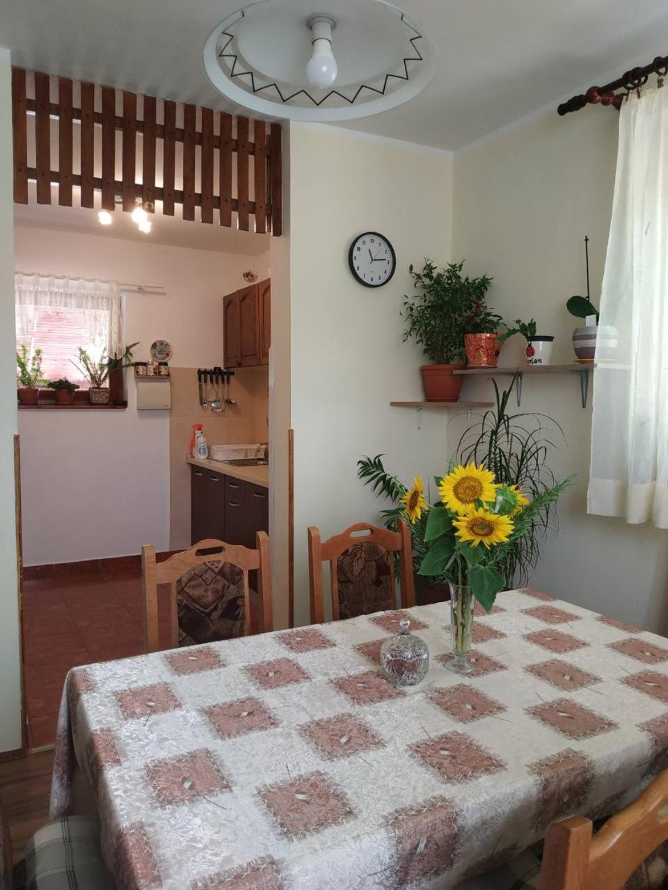 Apartman Rosa Apartamento Skradin Exterior foto
